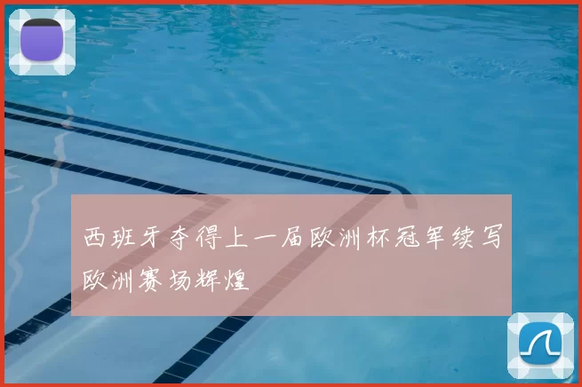 西班牙夺得上一届欧洲杯冠军续写欧洲赛场辉煌