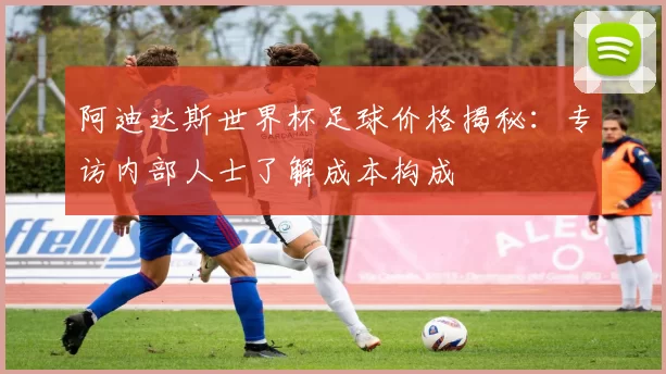 阿迪达斯世界杯足球价格揭秘：专访内部人士了解成本构成