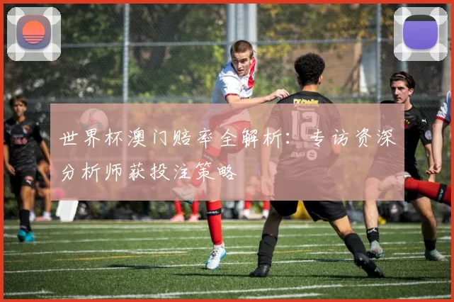 世界杯澳门赔率全解析：专访资深分析师获投注策略