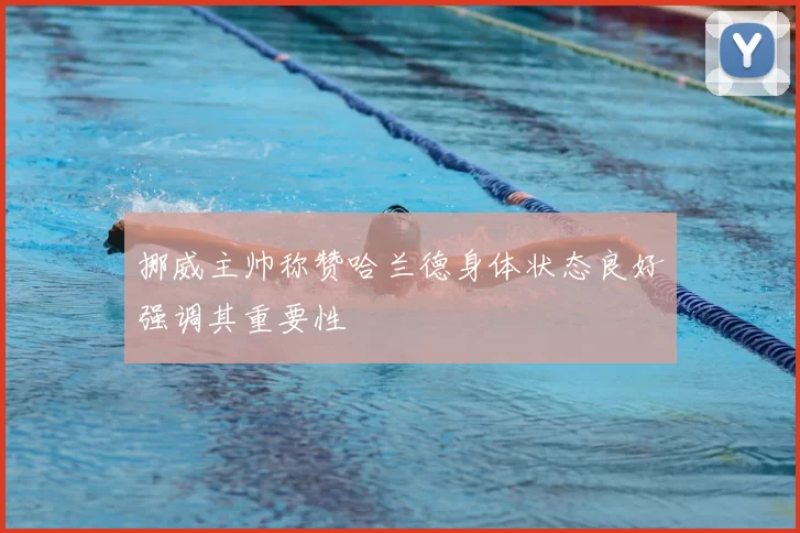 挪威主帅称赞哈兰德身体状态良好强调其重要性