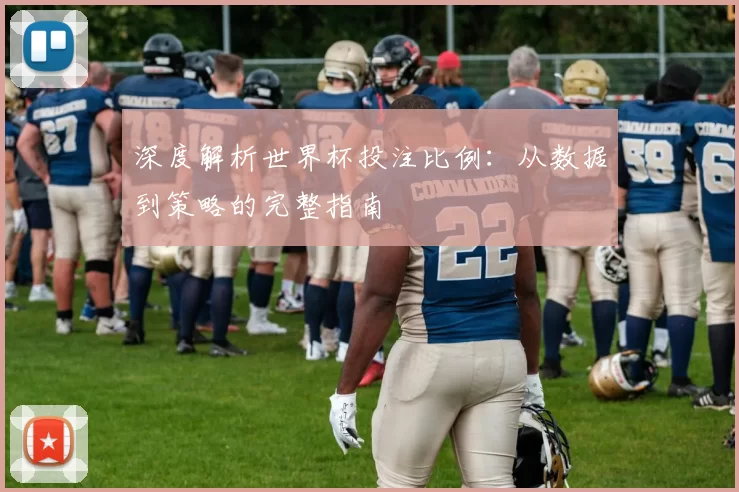 深度解析世界杯投注比例：从数据到策略的完整指南