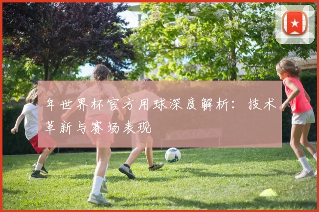 年世界杯官方用球深度解析:技术革新与赛场表现