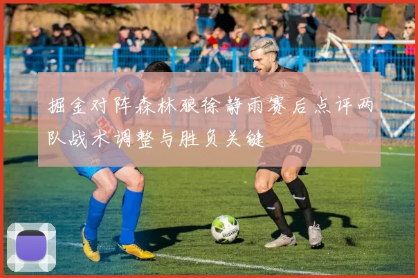 掘金对阵森林狼徐静雨赛后点评两队战术调整与胜负关键