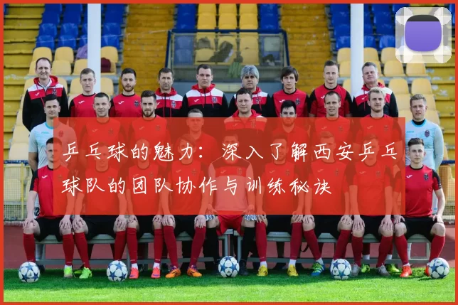 乒乓球的魅力:深入了解西安乒乓球队的团队协作与训练秘诀