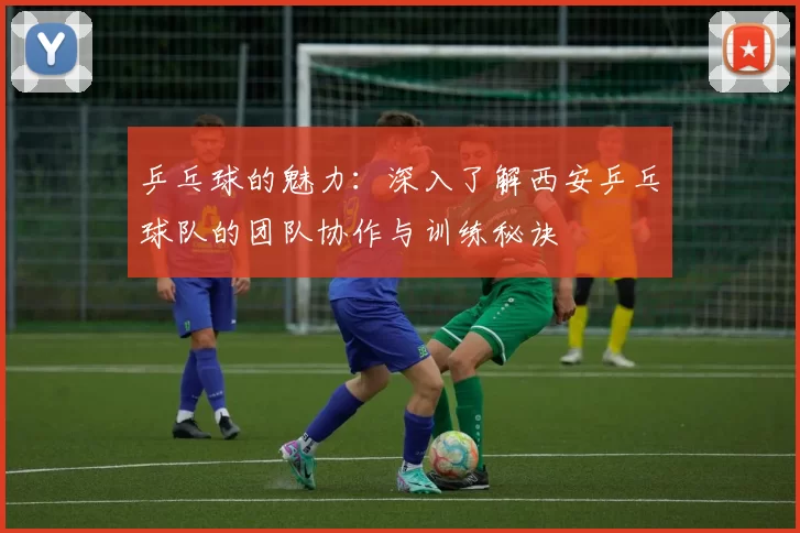 乒乓球的魅力:深入了解西安乒乓球队的团队协作与训练秘诀