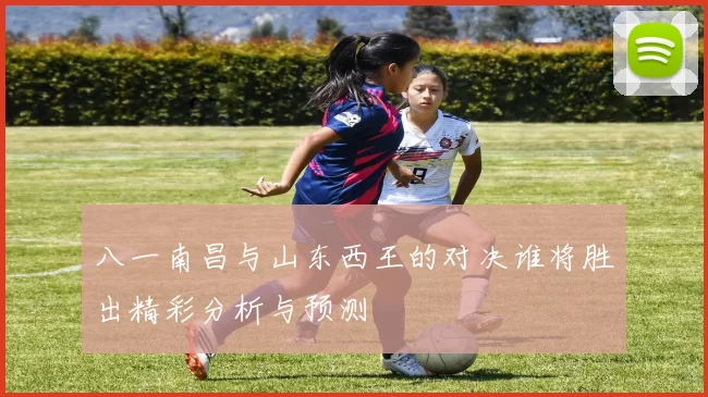 八一南昌与山东西王的对决谁将胜出精彩分析与预测