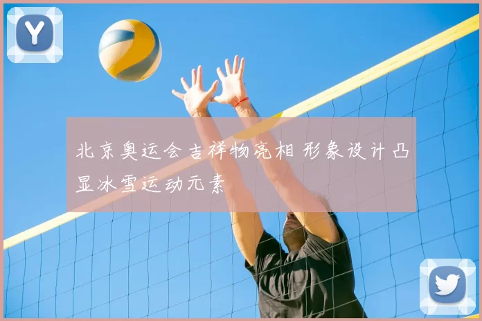 北京奥运会吉祥物亮相 形象设计凸显冰雪运动元素