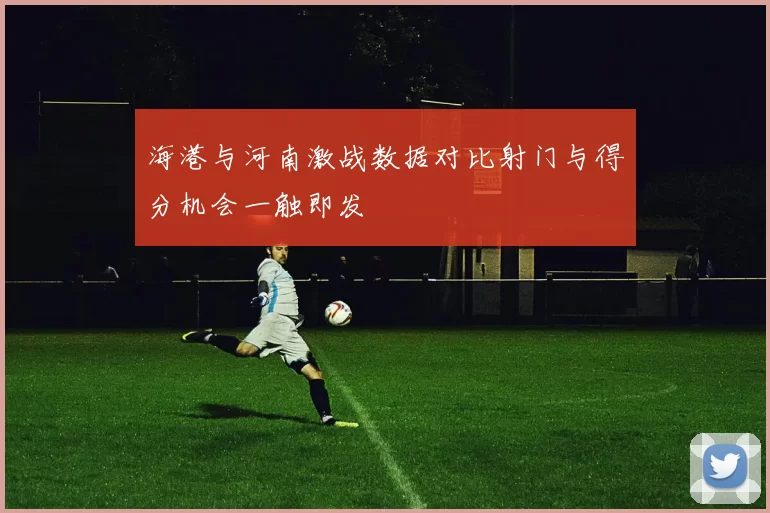 海港与河南激战数据对比射门与得分机会一触即发
