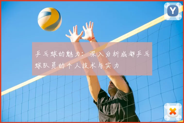 乒乓球的魅力:深入分析成都乒乓球队员的个人技术与实力