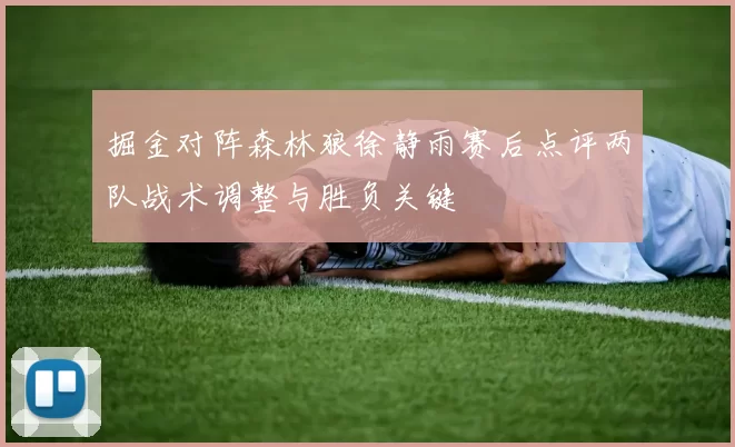 掘金对阵森林狼徐静雨赛后点评两队战术调整与胜负关键
